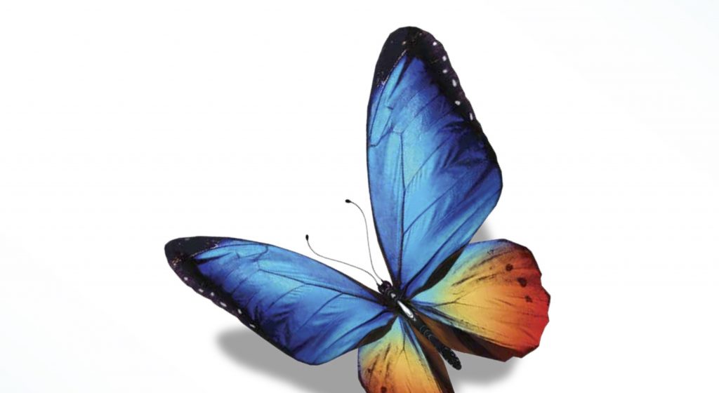 2019 Annual Report Brochure