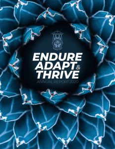 2020 Annual Report Brochure